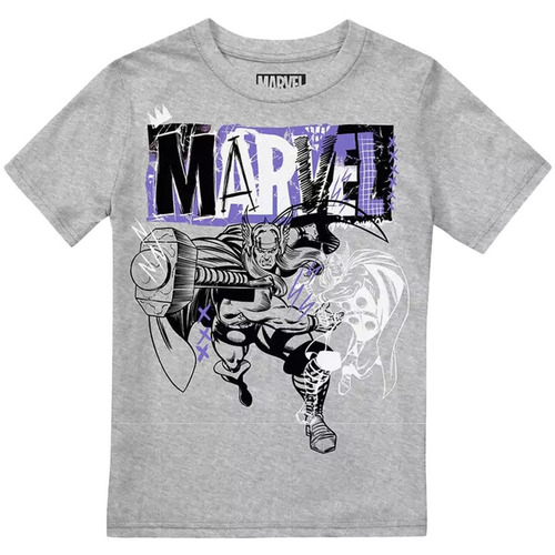 Abbigliamento Bambino T-shirts a maniche lunghe Thor Thunder Grigio