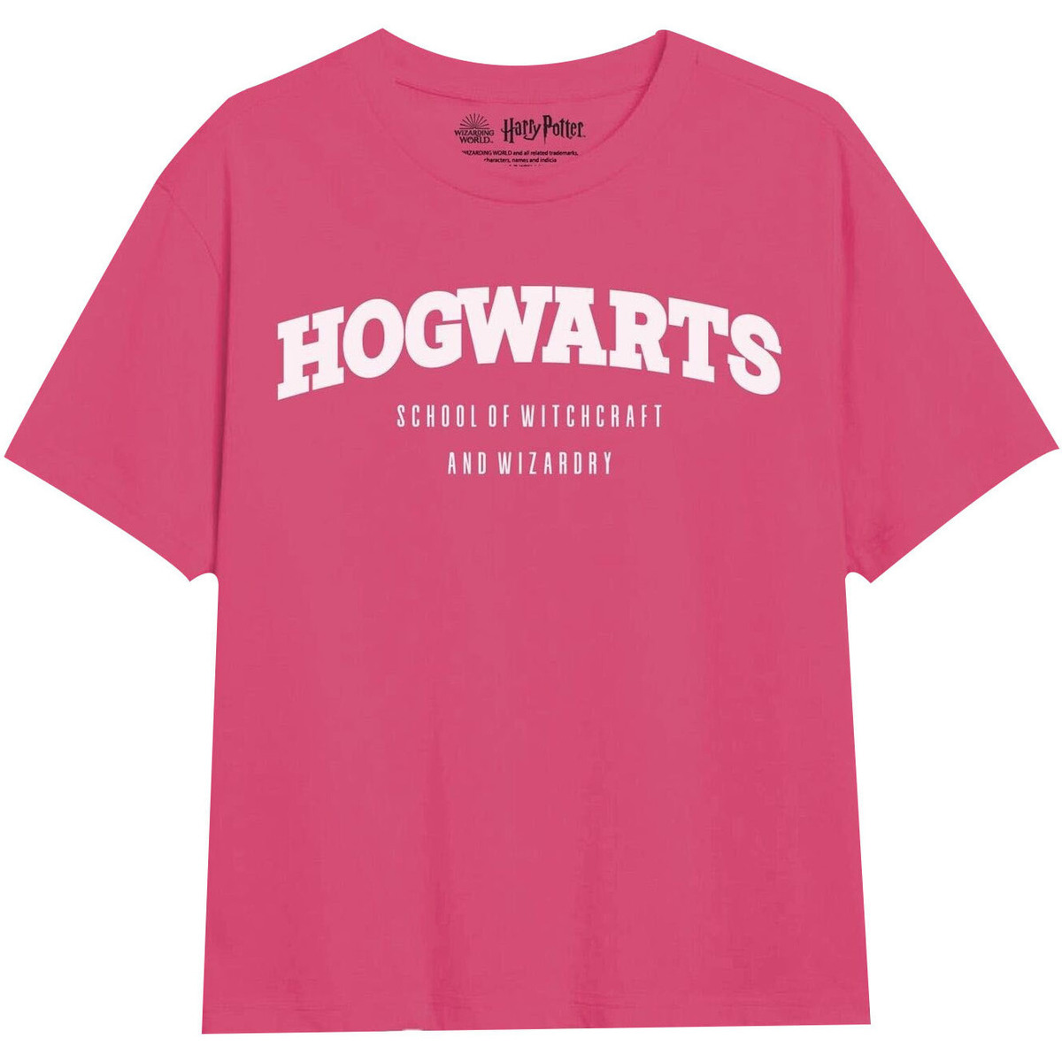 Abbigliamento Bambina T-shirts a maniche lunghe Harry Potter School Multicolore