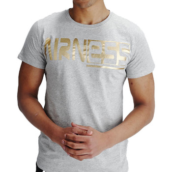 Abbigliamento Uomo T-shirt maniche corte Airness 1AL/2/1/68 Grigio
