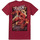 Abbigliamento Uomo T-shirts a maniche lunghe The Flash The Scarlet Speedster Rosso