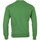 Abbigliamento Uomo Felpe Champion Crewneck Sweatshirt Verde