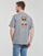 Abbigliamento Uomo T-shirt maniche corte Patagonia M'S FITZ ROY WILD RESPONSIBILI-TEE Grigio