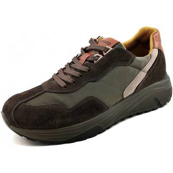 IgI&CO Sneakers Uomo  2638122 Marrone Marrone