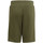 Abbigliamento Bambino Shorts / Bermuda adidas Originals HD2063 Verde