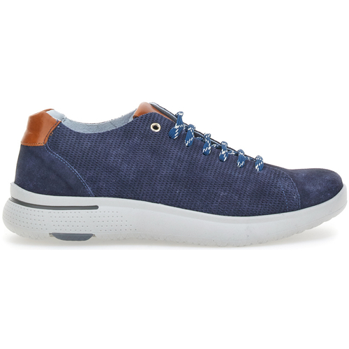 Scarpe Uomo Sneakers Pittarello 9010 Blu