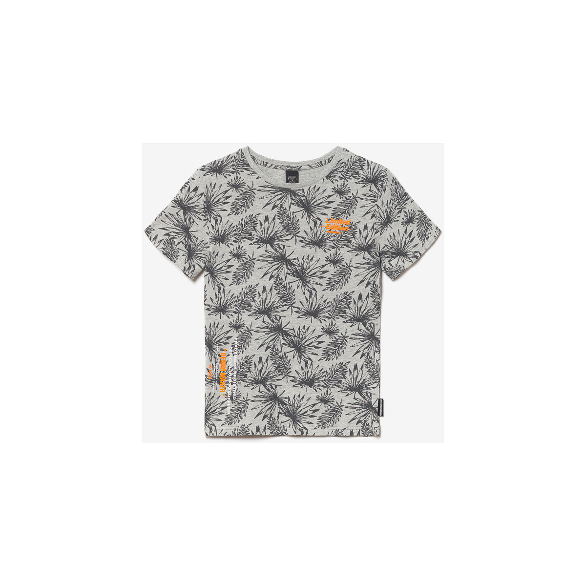 Abbigliamento Bambino T-shirt & Polo Le Temps des Cerises T-shirt NORIBO Marrone