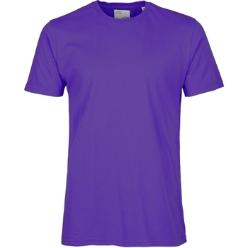 Abbigliamento T-shirt maniche corte Colorful Standard T-shirt  Classic Organic ultra violet Viola