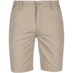 Abbigliamento Uomo Shorts / Bermuda Levi's 17202-0008 Beige