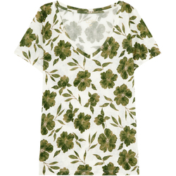 Abbigliamento Donna T-shirt maniche corte Les Petites Bombes T-shirt femme  Ariana Verde