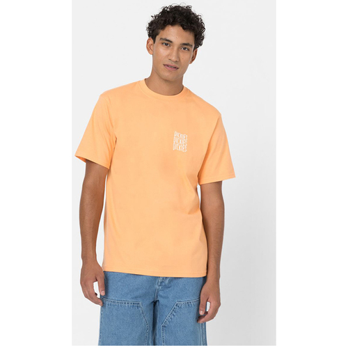Abbigliamento T-shirt maniche corte Dickies T-shirt a maniche corte  - Cresswell Arancio