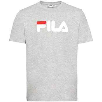 Abbigliamento Uomo T-shirt & Polo Fila FAU0092 Grigio