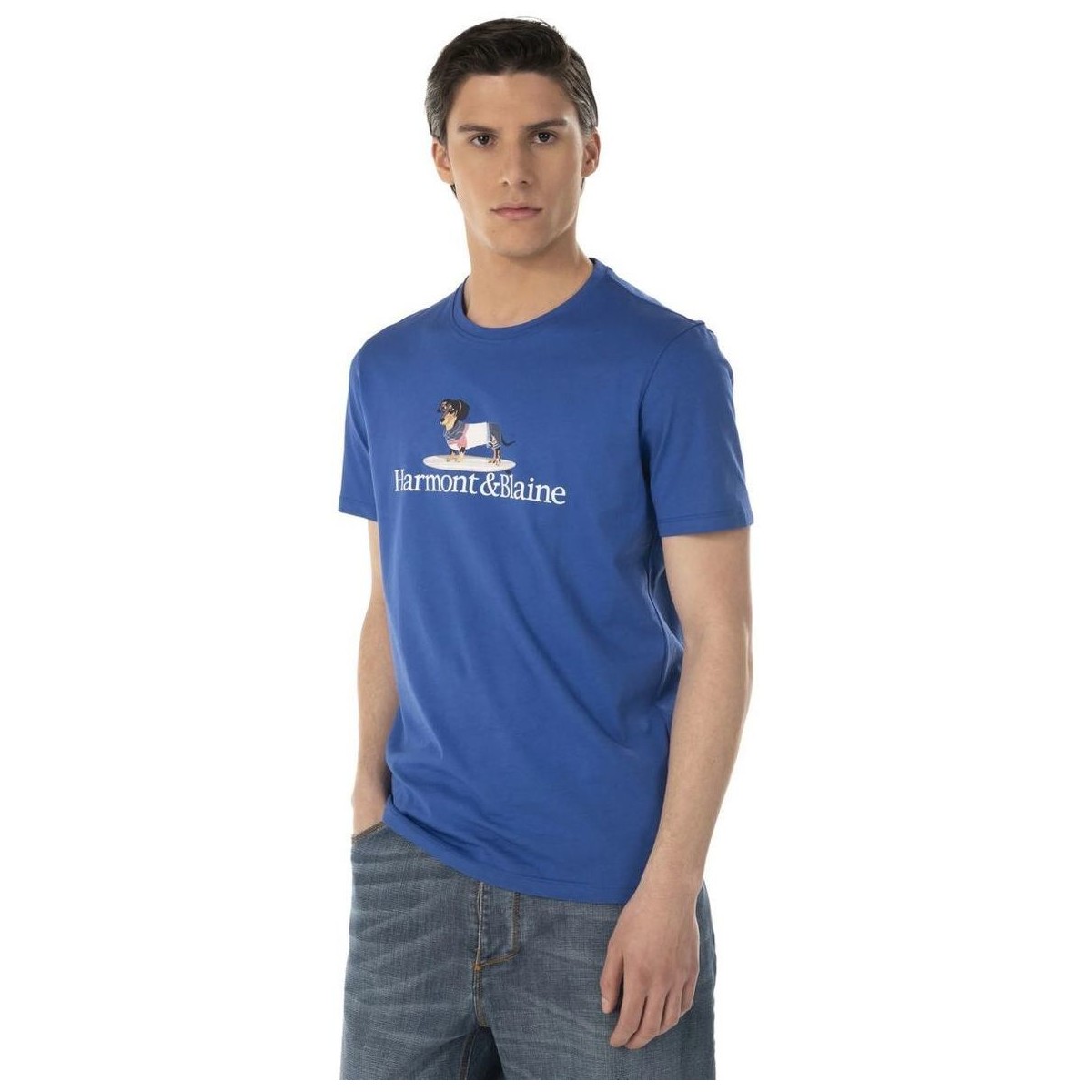 Abbigliamento Uomo T-shirt & Polo Harmont & Blaine IRF131021087 BL 2000000015767 Blu