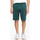Abbigliamento Uomo Shorts / Bermuda DC Shoes DC HEGGERTY SHORT JUNE BUG SEDYFB03047 Verde