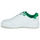 Scarpe Uomo Sneakers basse Puma PUMA Backcourt Bianco / Verde