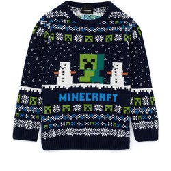 Abbigliamento Unisex bambino Maglioni Minecraft NS6893 Blu