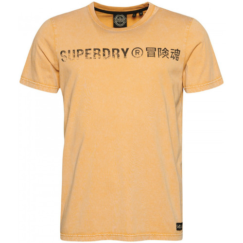 Abbigliamento Uomo T-shirt & Polo Superdry Vintage corp logo Beige