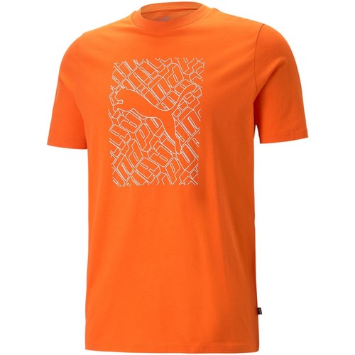 Abbigliamento Uomo T-shirt maniche corte Puma 674474 Arancio