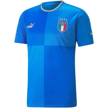 Abbigliamento Uomo T-shirt maniche corte Puma FIGC HOME JERSEY REPLICA Blu