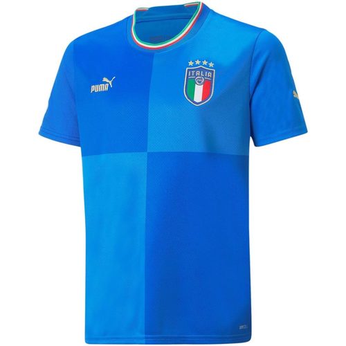 Abbigliamento Bambino T-shirt maniche corte Puma FIGC HOME JERSEY REPLICA JR Blu