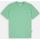 Abbigliamento Uomo T-shirt & Polo Dickies RUSTON Verde