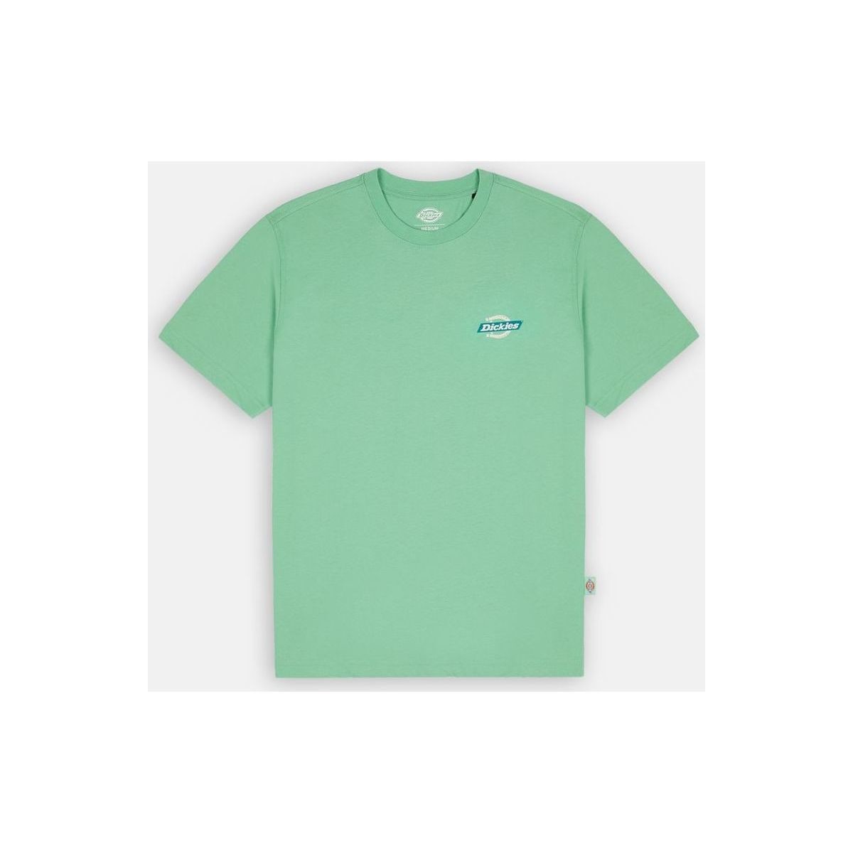 Abbigliamento Uomo T-shirt & Polo Dickies RUSTON Verde
