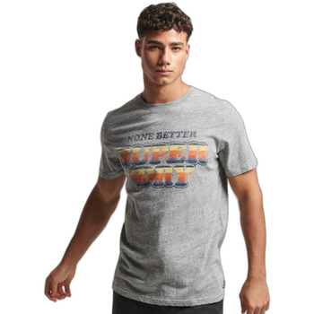 Abbigliamento Uomo T-shirt maniche corte Superdry T-shirt classique  Vintage Cooper Grigio