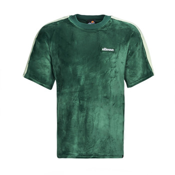 Abbigliamento Uomo T-shirt maniche corte Ellesse LORETTI Verde / Scuro
