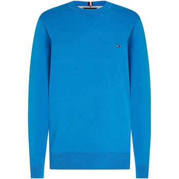 Abbigliamento Uomo T-shirt maniche corte Tommy Hilfiger MW0MW21316 Blu