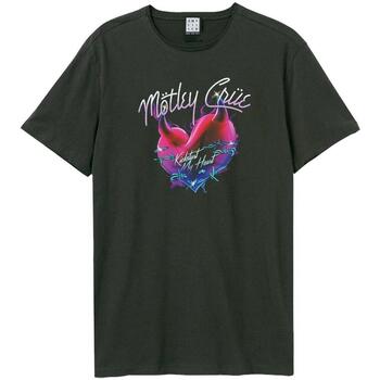 Abbigliamento T-shirts a maniche lunghe Amplified  Multicolore