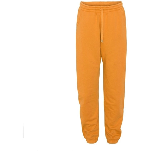 Abbigliamento Pantaloni Colorful Standard Jogging  Organic sunny orange Arancio