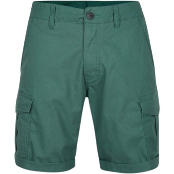Abbigliamento Uomo Shorts / Bermuda O'neill Short  Beach Break Cargo Blu