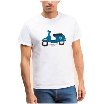 Abbigliamento Uomo T-shirt maniche corte Scotta  Bianco