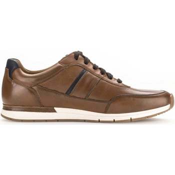 Scarpe Uomo Sneakers Pius Gabor 1047.10.02 Marrone