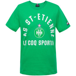 Abbigliamento Bambino Top / T-shirt senza maniche Le Coq Sportif 2021255 Verde