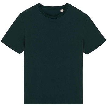 Abbigliamento T-shirts a maniche lunghe Native Spirit  Verde