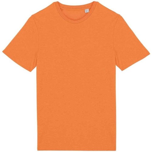 Abbigliamento T-shirts a maniche lunghe Native Spirit PC5179 Arancio