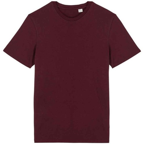 Abbigliamento T-shirts a maniche lunghe Native Spirit PC5179 Viola