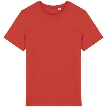 Abbigliamento T-shirts a maniche lunghe Native Spirit  Rosso