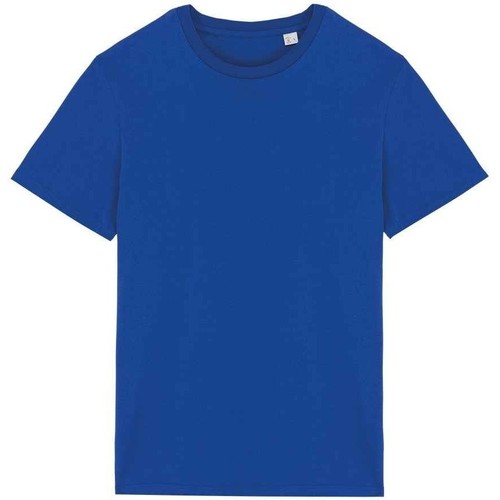 Abbigliamento T-shirts a maniche lunghe Native Spirit PC5179 Blu