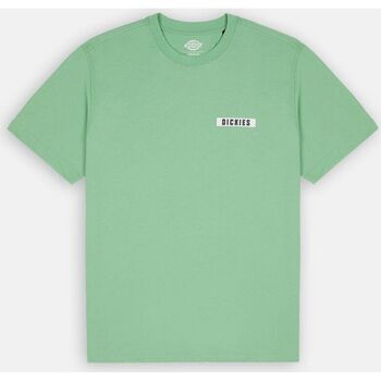 Abbigliamento Uomo T-shirt & Polo Dickies BAKER CITY Verde