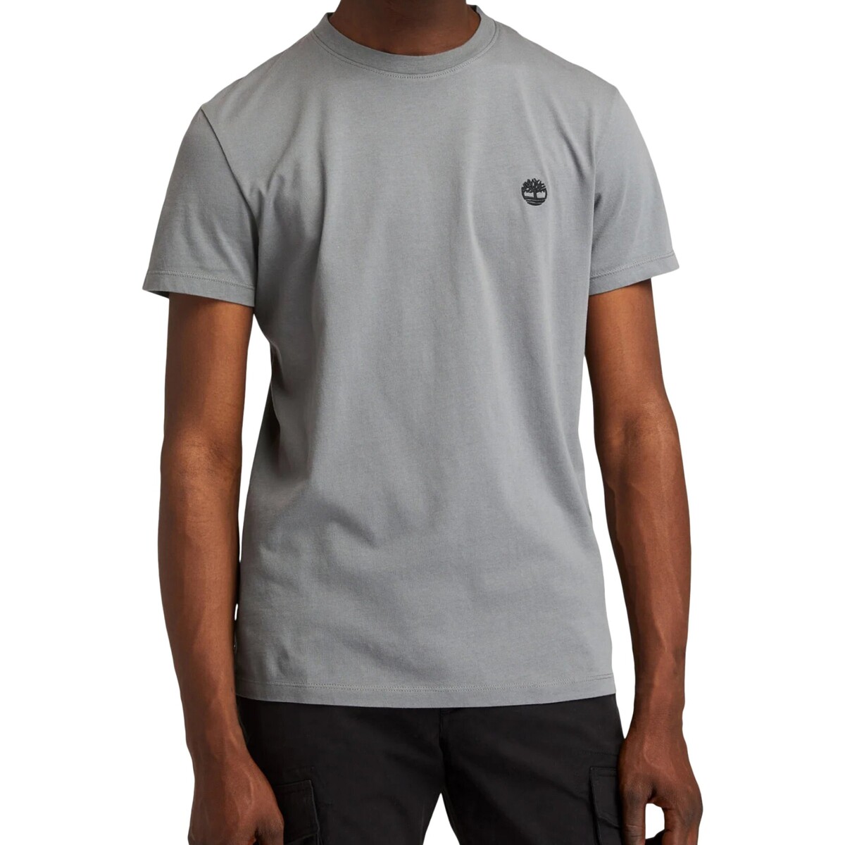 Abbigliamento Uomo T-shirt maniche corte Timberland 208625 Grigio