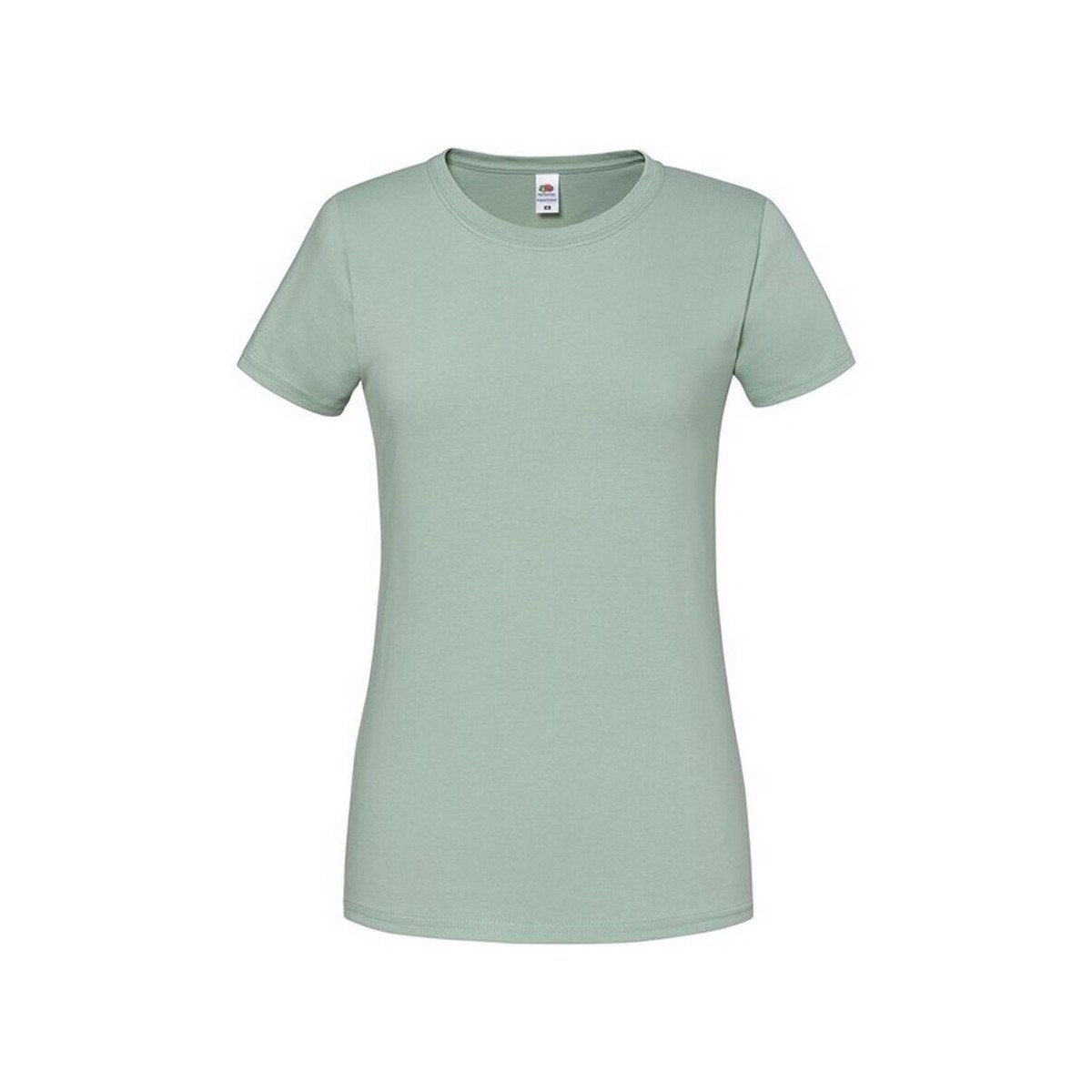 Abbigliamento Donna T-shirts a maniche lunghe Fruit Of The Loom Premium Verde
