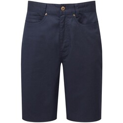 Abbigliamento Uomo Shorts / Bermuda Premier PR562 Blu