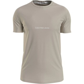 Abbigliamento Uomo T-shirt maniche corte Calvin Klein Jeans J30J322848 Beige