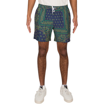 Abbigliamento Uomo Shorts / Bermuda Iriedaily Short  Crazy Fresh Blu