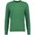 Abbigliamento Uomo Maglioni Lyle & Scott KN821V CREW NECK-W510 ENGLISH GREEN Verde