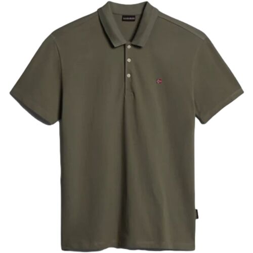Abbigliamento Uomo T-shirt & Polo Napapijri EALIS SS SUM 3 Verde