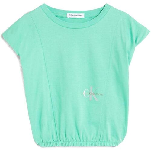 Abbigliamento Bambina T-shirt maniche corte Calvin Klein Jeans  Verde