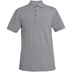 Abbigliamento Uomo T-shirt & Polo Brook Taverner Hampton Grigio