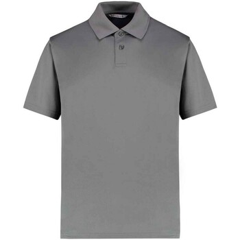 Abbigliamento Uomo T-shirt & Polo Kustom Kit PC5249 Multicolore